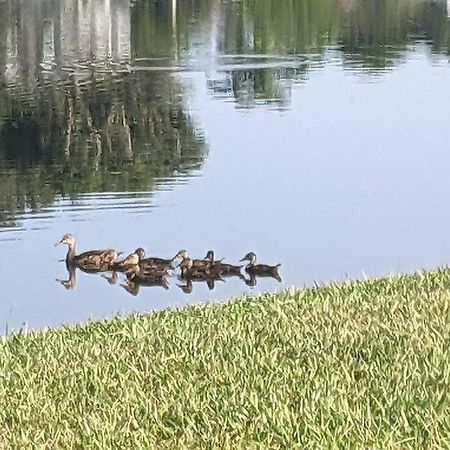 Port Saint Lucie A Little Piece Of Heaven- Peaceful Lake View Apartment- 1 Min From I95 And Turnpike Port St. Lucie Exterior foto